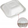 500 Pack Clamshell Take Out Food Containers - Image 3